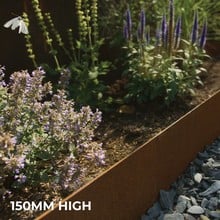 CORE EDGE - Premium Lawn Edging