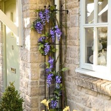 Corner Drainpipe Trellis