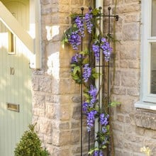 Corner Drainpipe Trellis