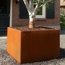 CorTen Steel Cube Planters