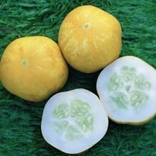 Cucumber Crystal Lemon - Organic Plant Packs