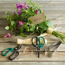 Cut Flower Kit