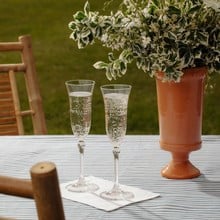 Daphne Optic Crystal Flutes - Set of 6