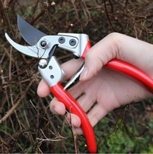 Darlac Expert Medium Bypass Pruner