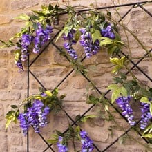 Diamond Lattice Wall Trellis Panel