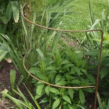 Double Arc Plant Supports (Pack of 3)