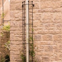 Drainpipe Trellis