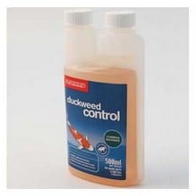 Duckweed Control