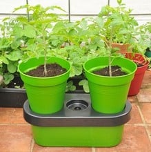 Duo Grow Planter