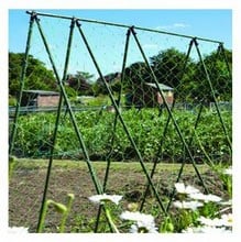 Easy Bean System