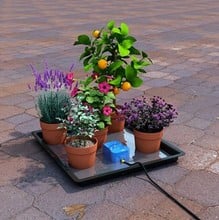 Easy2GO Holiday Watering Kit