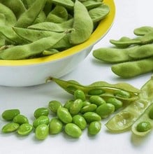 Edamame Bean - Organic Plant Packs