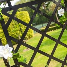 Ellipse Half Lattice Garden Arch