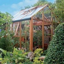 Essential 6ft x 6ft Cedar Greenhouse by Gabriel Ash Essential 6ft x 6ft Cedar Greenhouse by Gabriel Ash