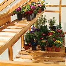 Essential 6ft x 6ft Cedar Greenhouse by Gabriel Ash Essential 6ft x 6ft Cedar Greenhouse by Gabriel Ash