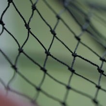 Extra Heavy Duty Netting 19mm mesh