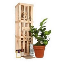 Extra Lemon Gardeners Gift Set