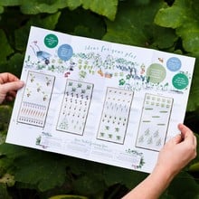 Family Favourites Veg Patch Gift Voucher