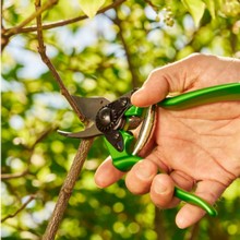 Felco 6 Secateurs - Power Green