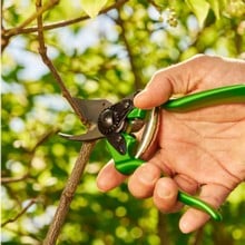 Felco 6 Secateurs - Power Green