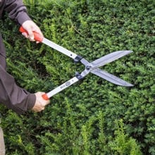 Felco Hedge Shears