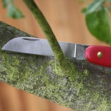 Felco swiss army best sale knife
