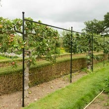 Fence System for Arches