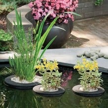 Floating Plant Islands