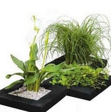 Floating Plant Islands