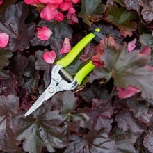 FloraBrite Flower and Fruit Snips