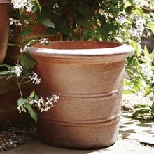 Florentine Terracini Pot