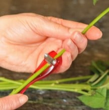 Flower Pot Flower Stem Cutter Flower Pot Flower Stem Cutter