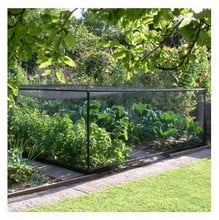 Freestanding Vegetable and Strawberry Cage