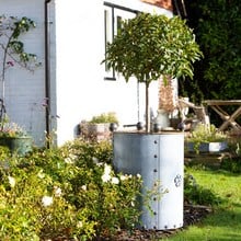 Galvanised Steel Large Round Planter