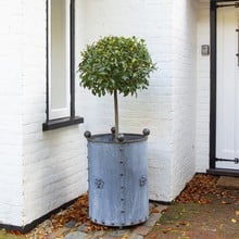 Galvanised Steel Large Round Planter