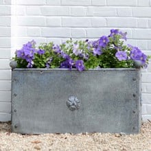 Galvanised Steel Traditional Trough Planter