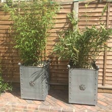 Galvanised Traditional Square Steel Planters