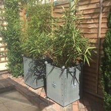 Galvanised Traditional Square Steel Planters