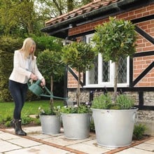 Galvanised Zinc Planters