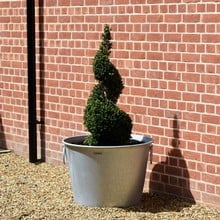 Galvanised Zinc Planters