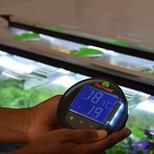 Geopod Heated Propagator with Lights