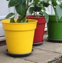 Giant Vegetable Planter Pots