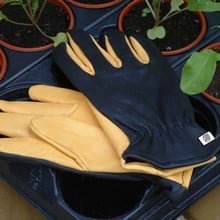 Gold Leaf Dry Touch Gloves