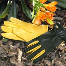 Gold Leaf Dry Touch Gloves