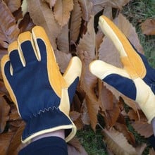 Gold Leaf Winter Touch Gloves