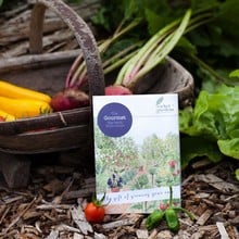 Gourmet Veg Patch Gift Voucher