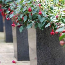 Granite Tall Tapered Planter (Set of 2)