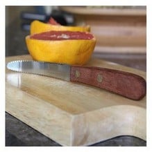 Grapefruit Knife