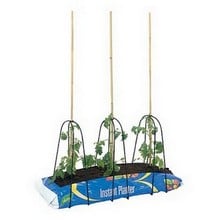 Grow Bag Cane Frames