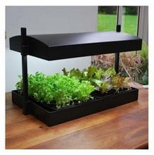 Grow Light Garden Watering Tray Insert